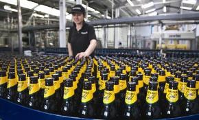 Project profile: Cider maker spends big to bottle success
