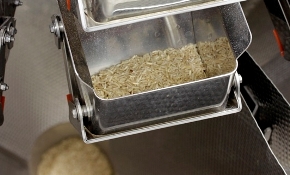 ish2011.003 Urtekram Rice on PH and WH mn