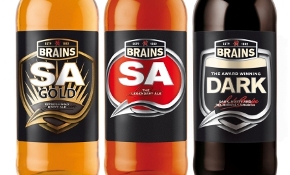BRAINS BOTTLES main