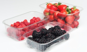 Leeways Fruit Punnets mn Leeways Fruit Punnets mn