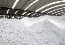 Pulp and paper chemicals could aid bioplastics