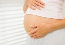 New report revives BPA risk debate