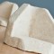 Sealed Air to launch mushroom packs in Europe