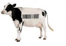Traceability launches new website