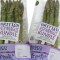 Paragon links with Tesco to create long-life asparagus packs